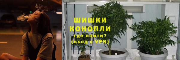дживик Нея