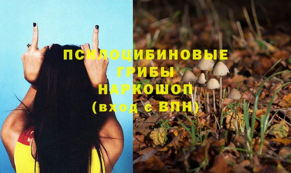 дживик Нея