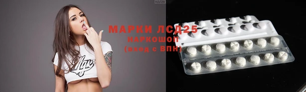 прущие крисы Нефтекумск