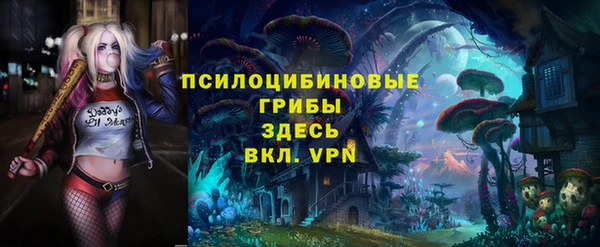 дживик Нея
