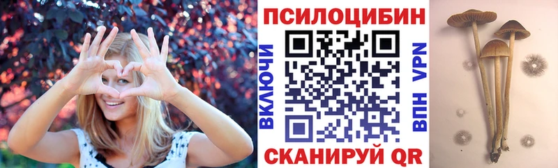 Псилоцибиновые грибы Psilocybine cubensis Неман